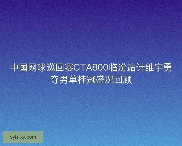 中国网球巡回赛CTA800临汾站计维宇勇夺男单桂冠盛况回顾